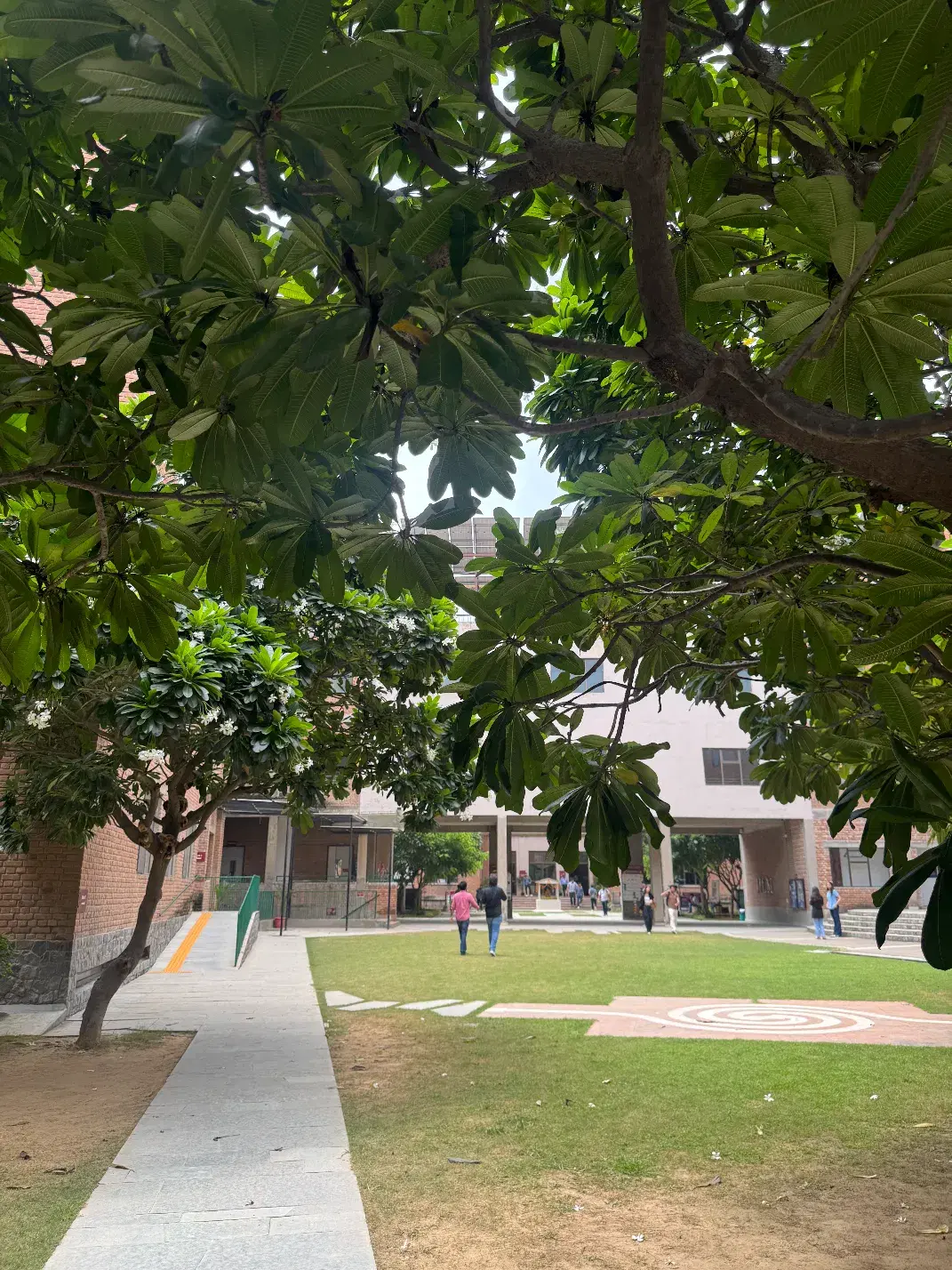 IILM University Gurgaon Campus photo 2